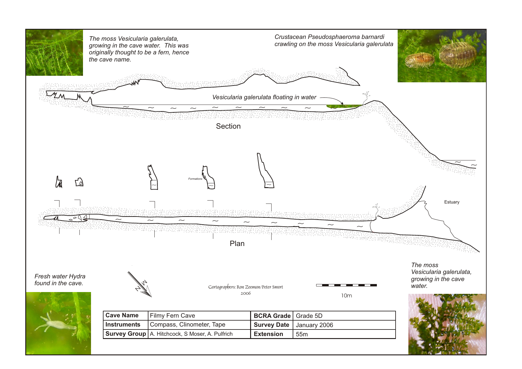 Survey — Groot River Mouth Filmy Fern Cave