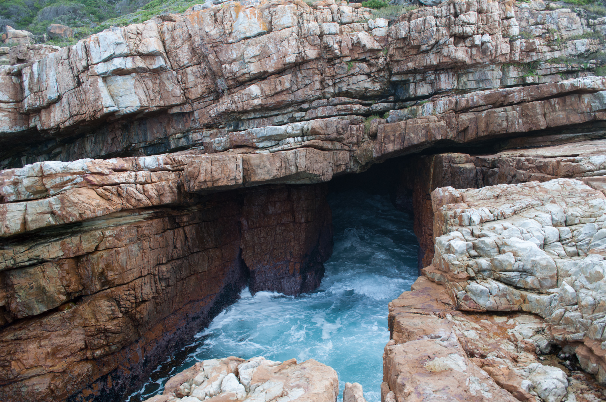 Puff adder Cave-1