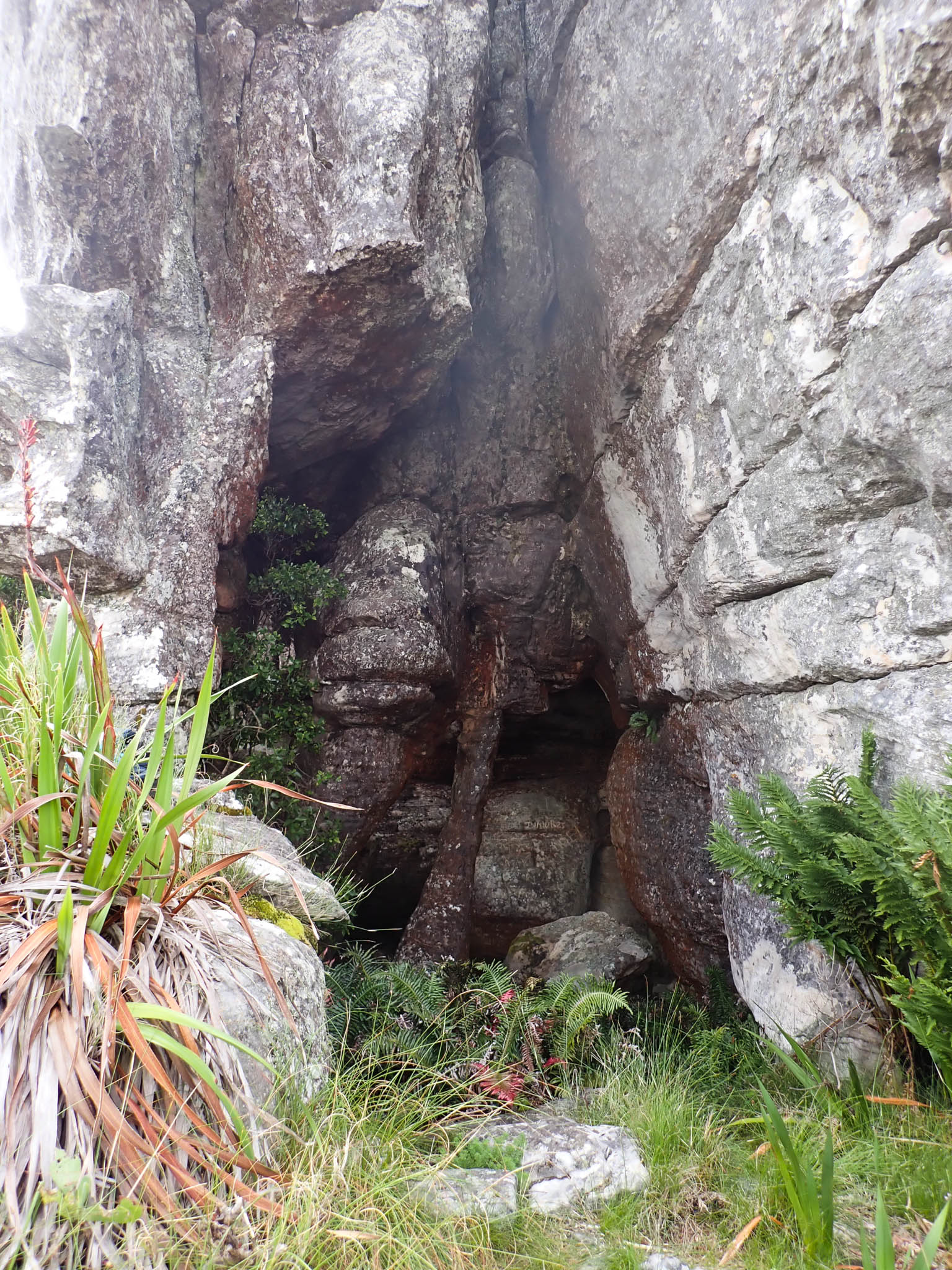 Elephants Arse Cave photos