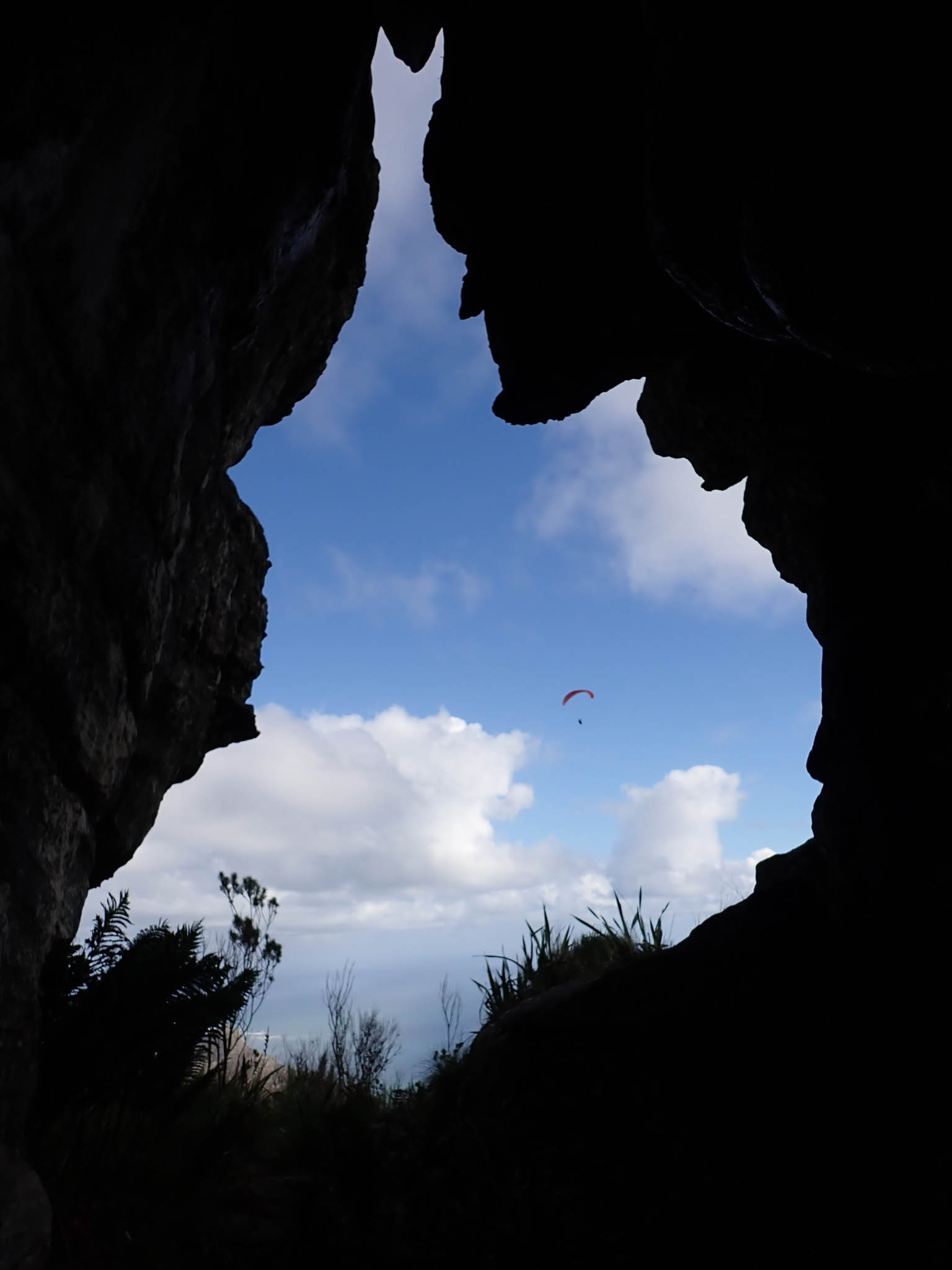 Paraglider