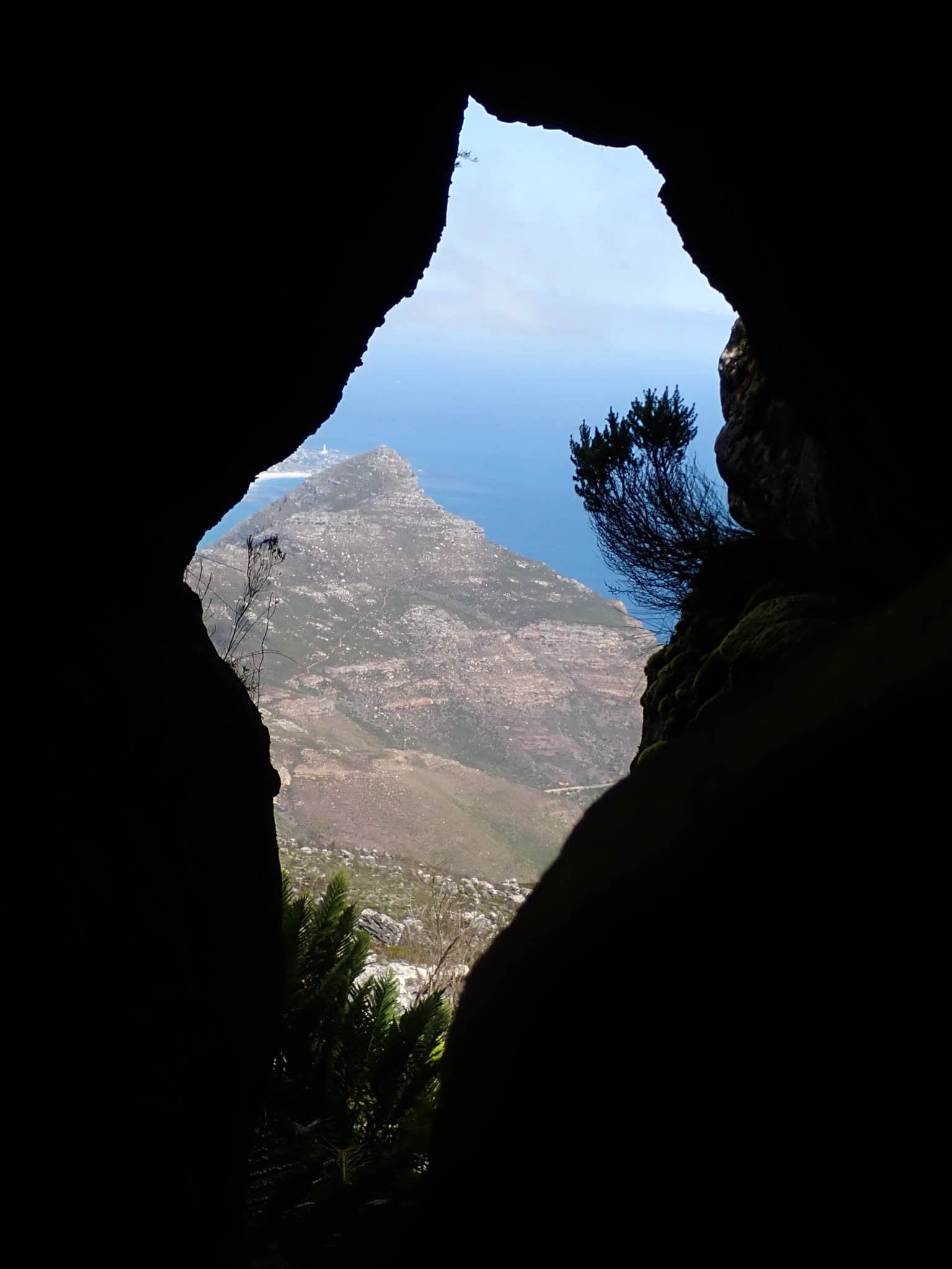 Elephants Innards photos