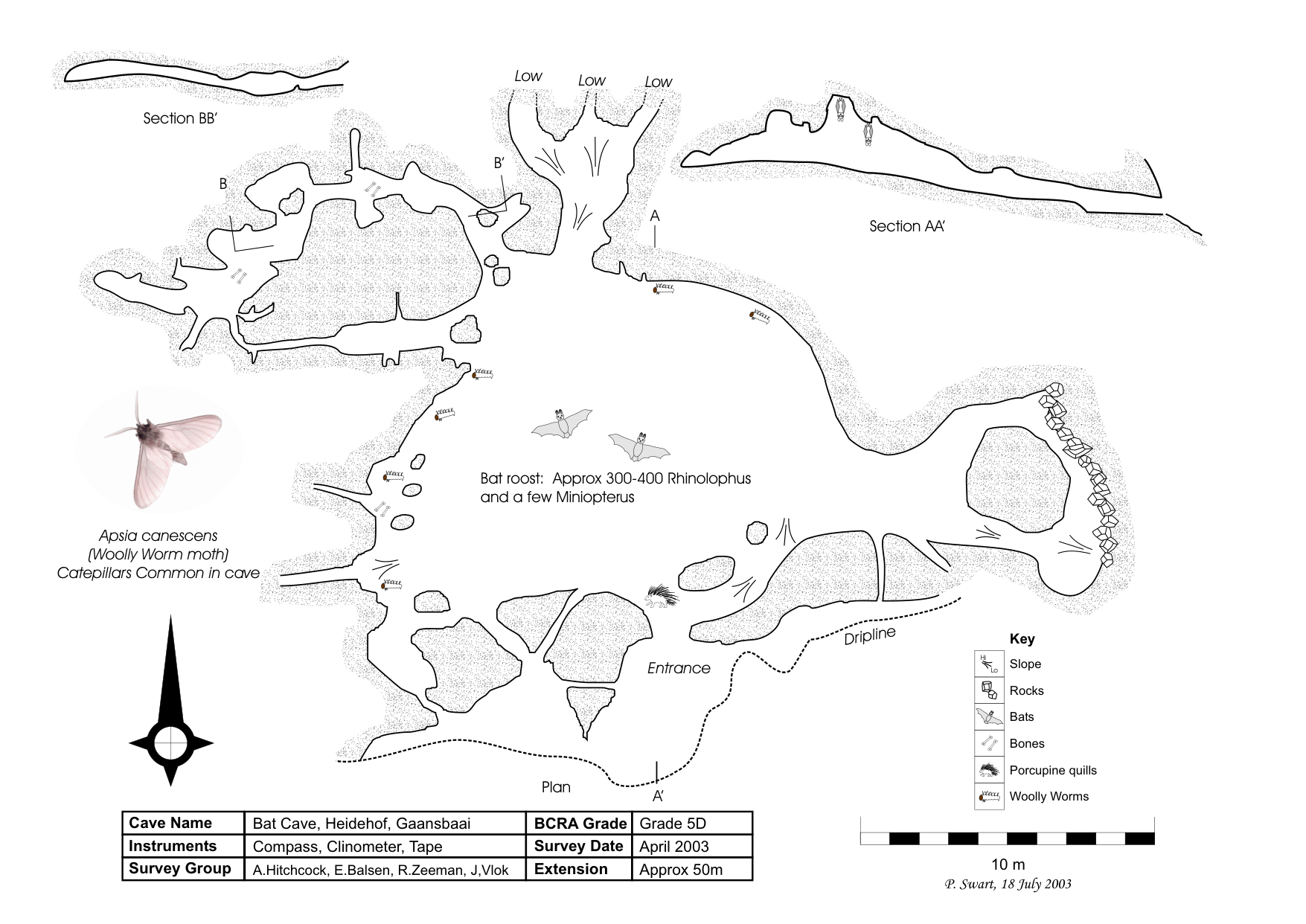 Survey — Heidehof Farm Bat Cave