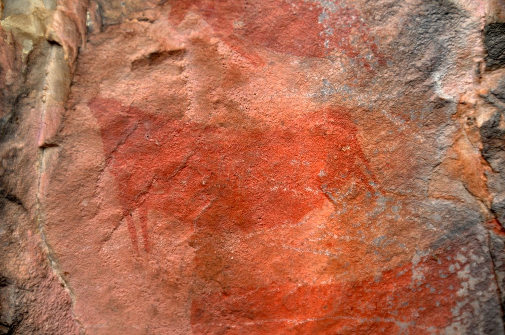 image5