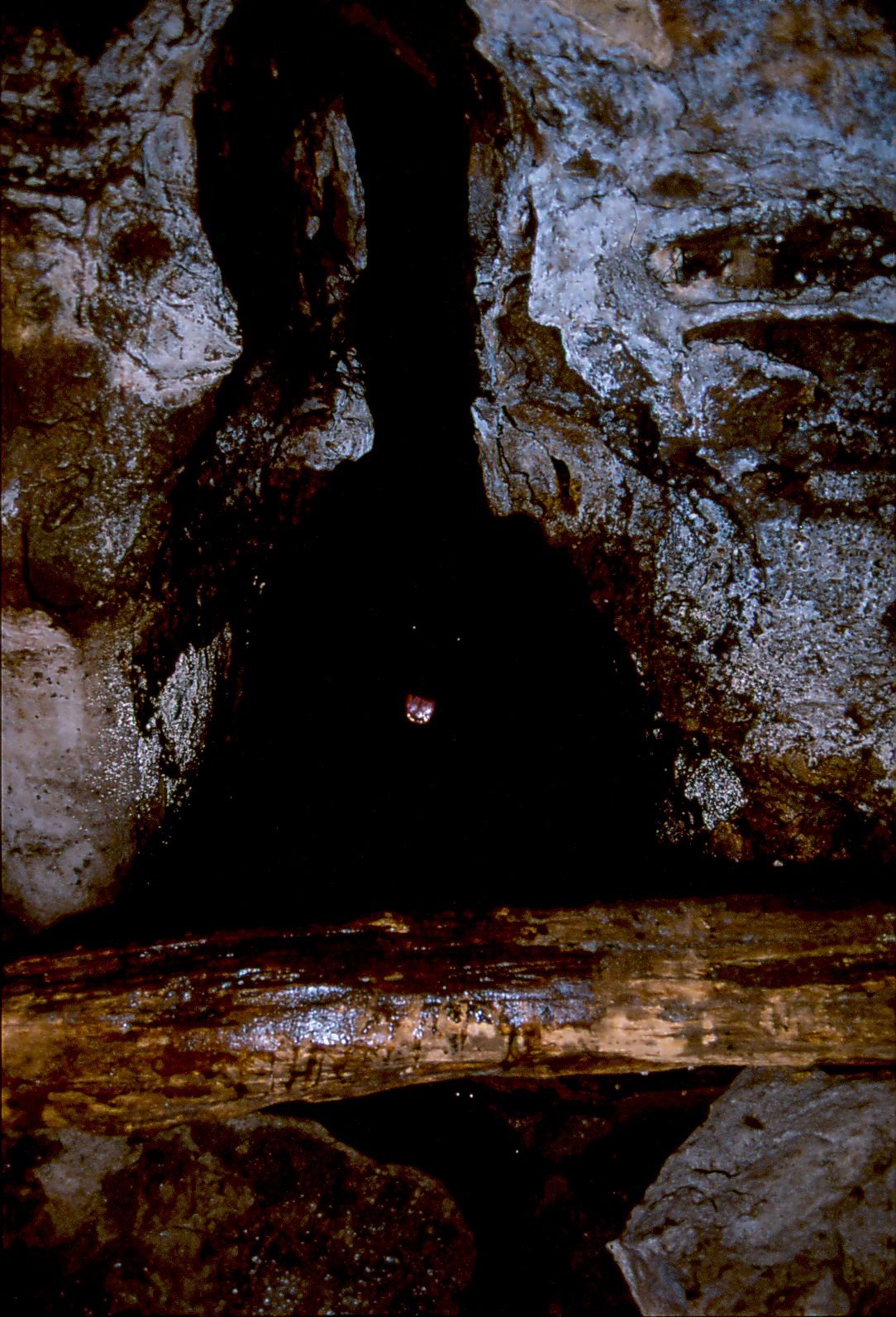 Grunthos in cave on Kalk Bay mountain