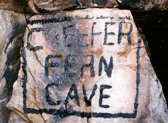 Creeper Fern Cave photos