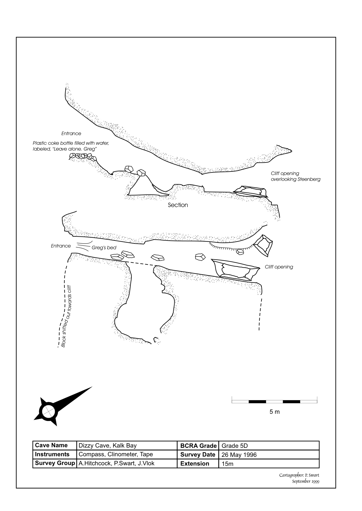 Survey — Dizzy Cave