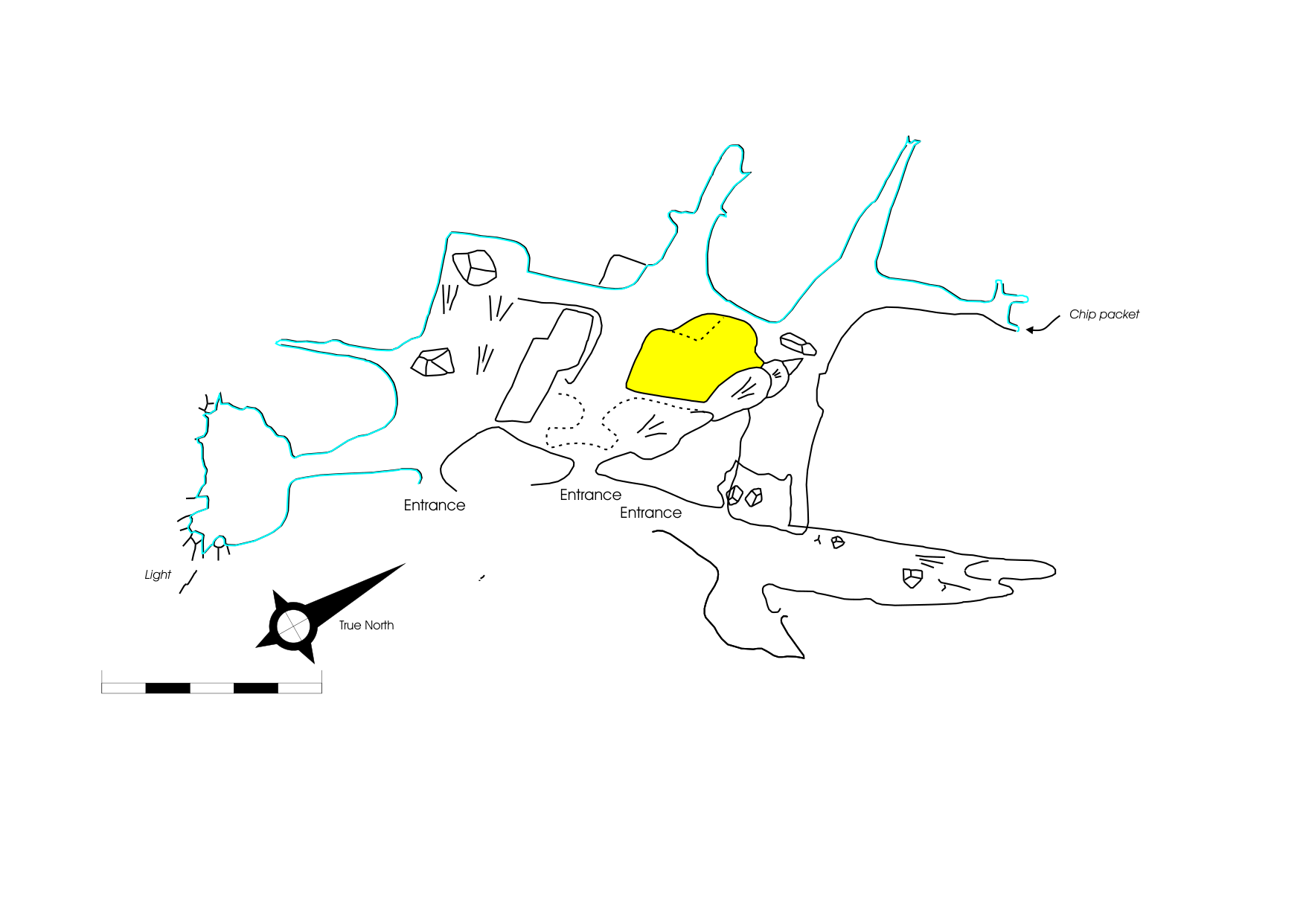 Survey — Incompmlete