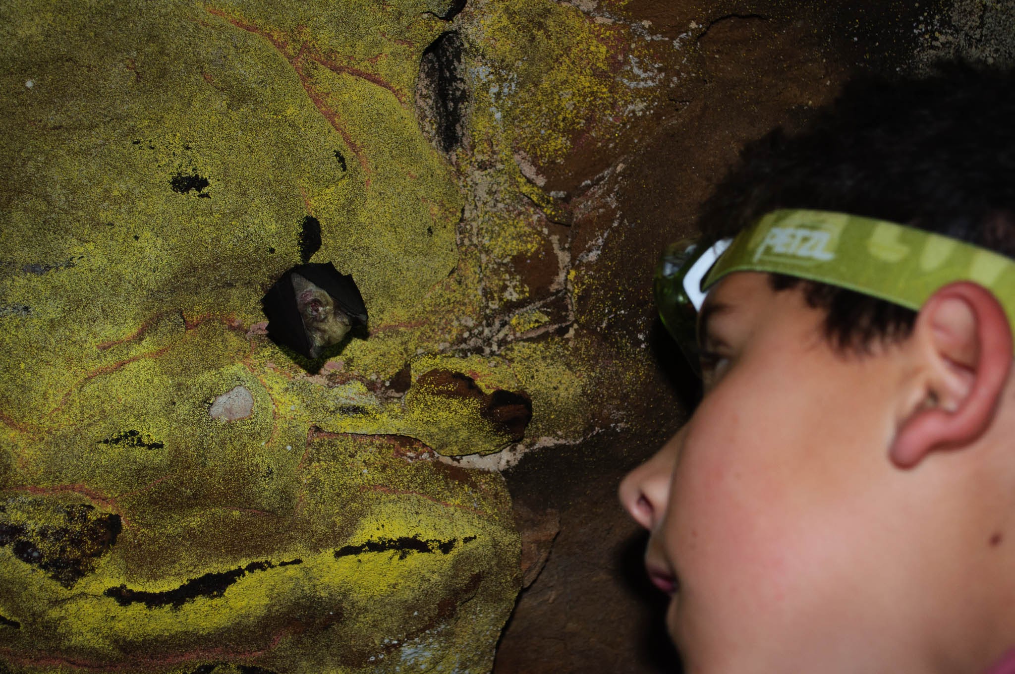 Johles Cave-0323