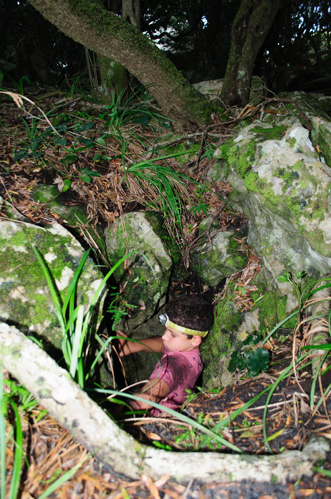 Prisim Cave-0381