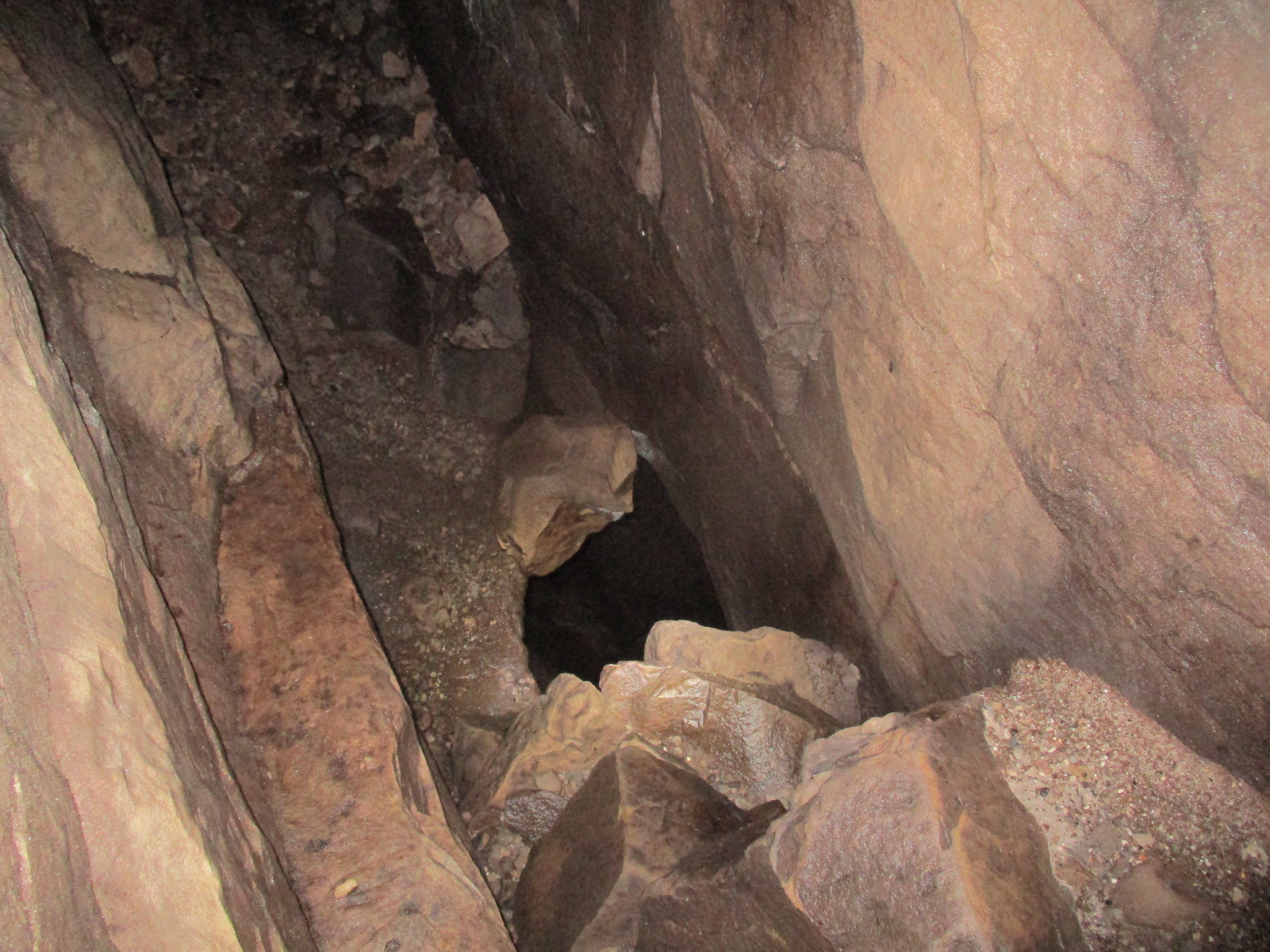 Looking down into the hall