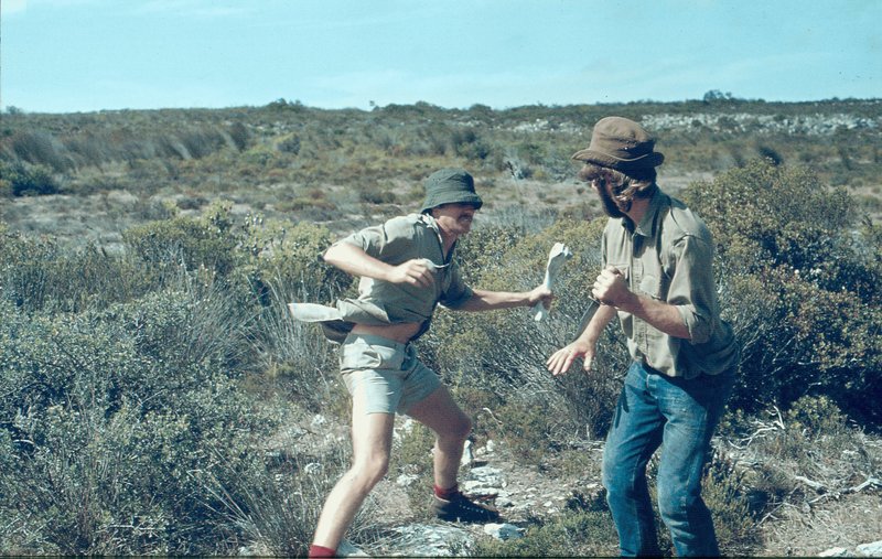 Dup and Apple   more Zarathustra