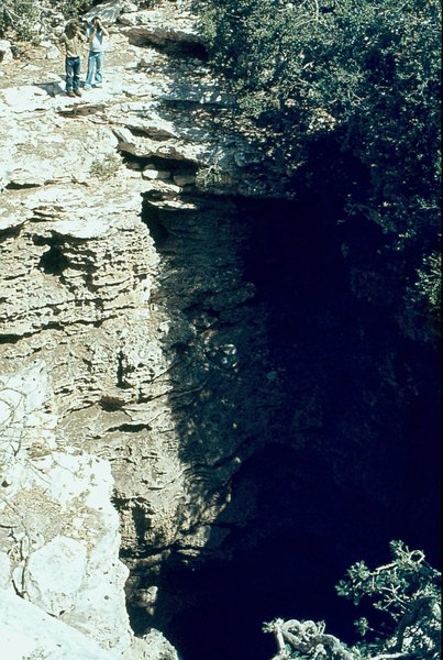 006a Oh the buzzin of the Bees