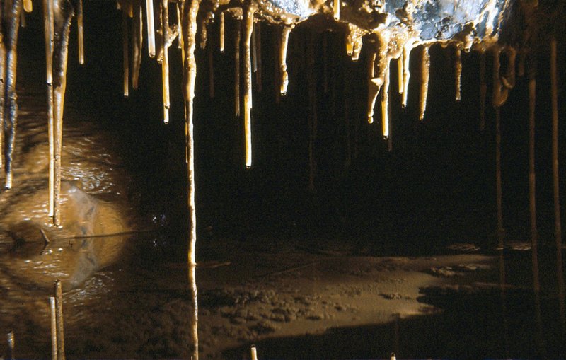 Miniature pool   Efflux