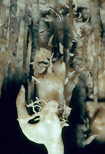 Helictites   probably Efflux