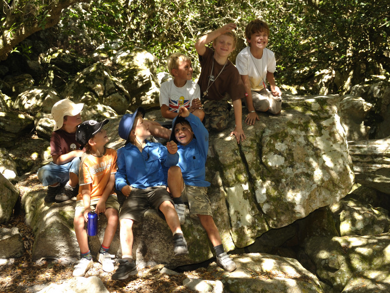 Amazon Forest Echo Valley DSC 7252