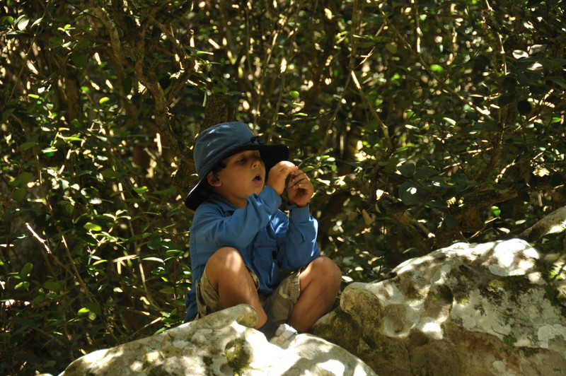 Amazon Forest Echo Valley Reece DSC 7273