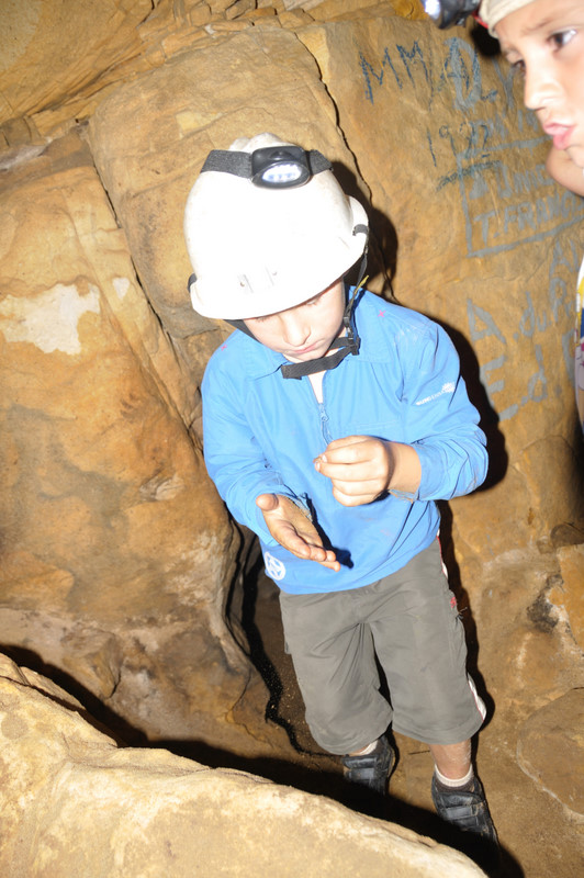 Oread Halls Grand Hall Euan found a cave cricket DSC 7073