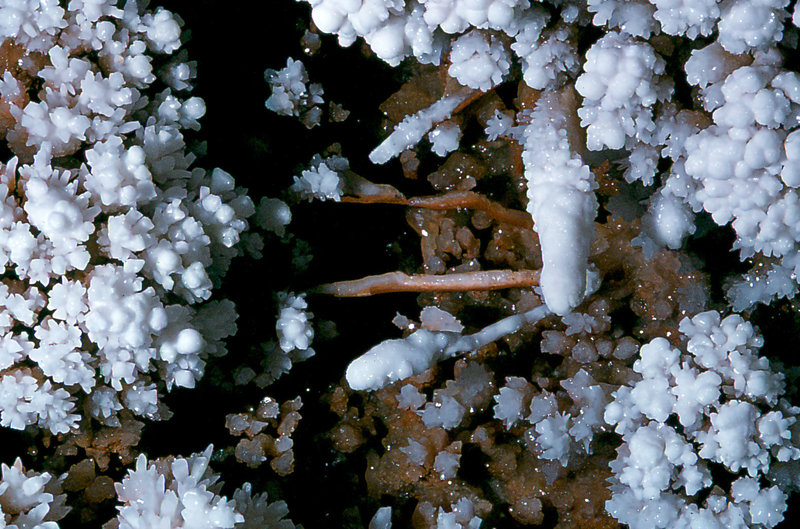 crystals Cango 3 August 1978 3