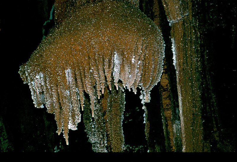 flowstone Cango 3 August 1978