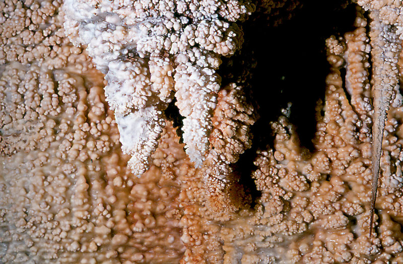 popcorn Cango 3 August 1978