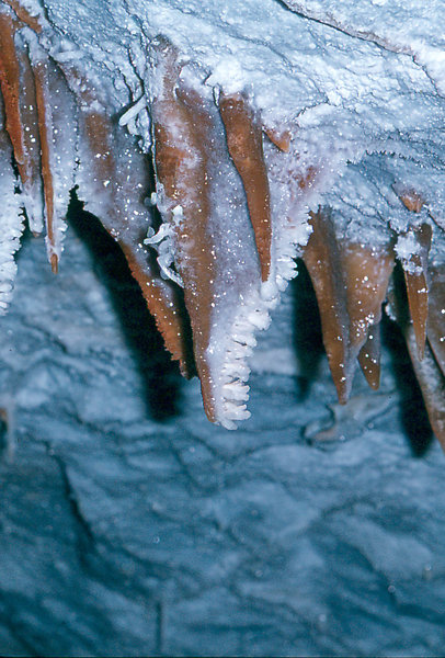 stals Cango 3 August 1978