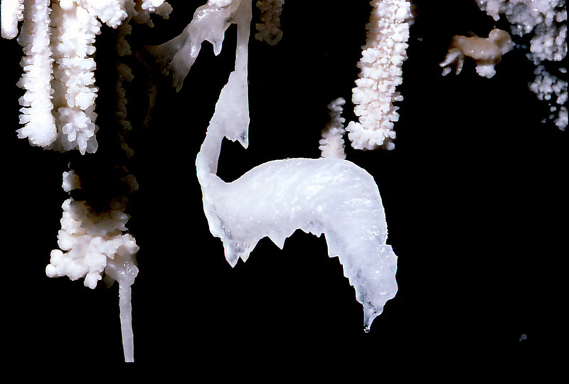 Cango 3 Easterscan0005