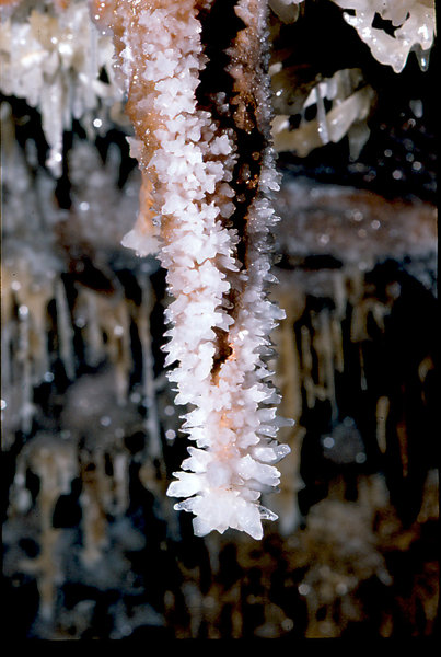 Cango 3 Easterscan0006