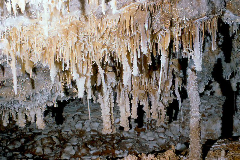 Cango 3 Easterscan0010