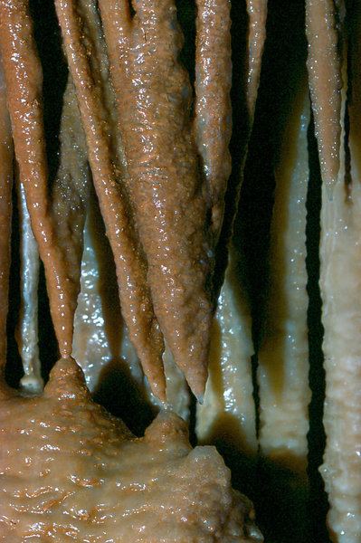 Cango 3 Easterscan0012