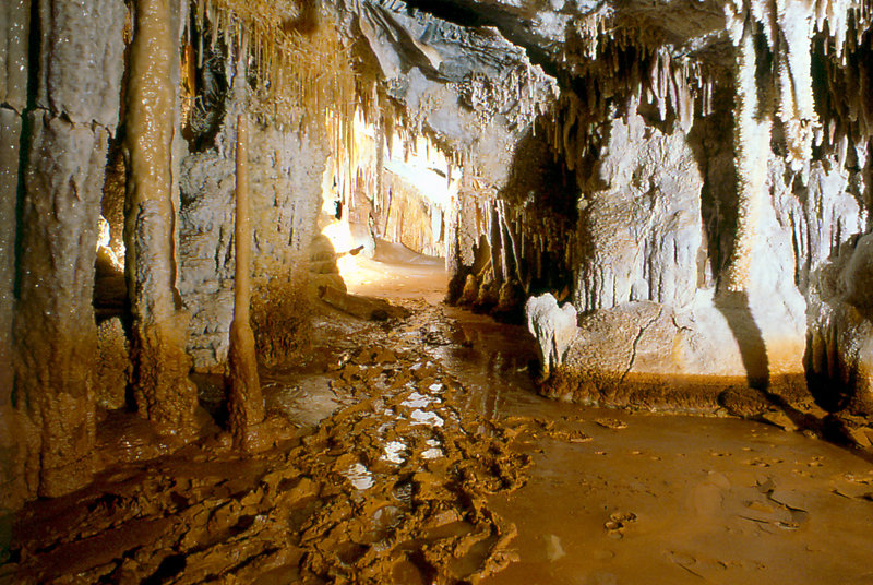 Alpine Room Cango 3 Easter 1980 1