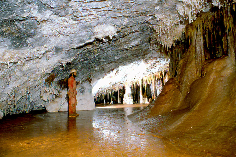 Cango 3 Alpine Room Apple 01