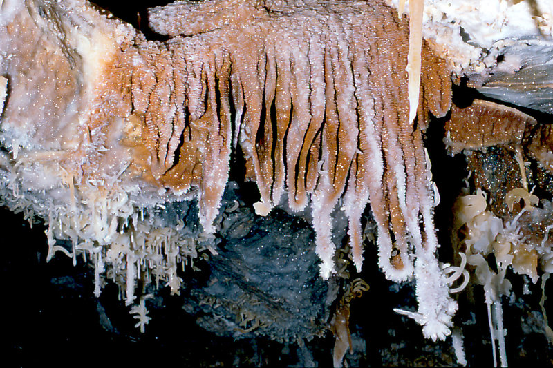 Cango 3 Canyon under Aladdins overhang