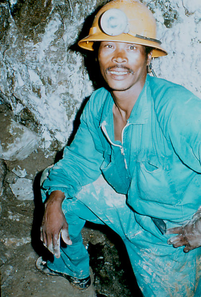 Cango guide named Dart