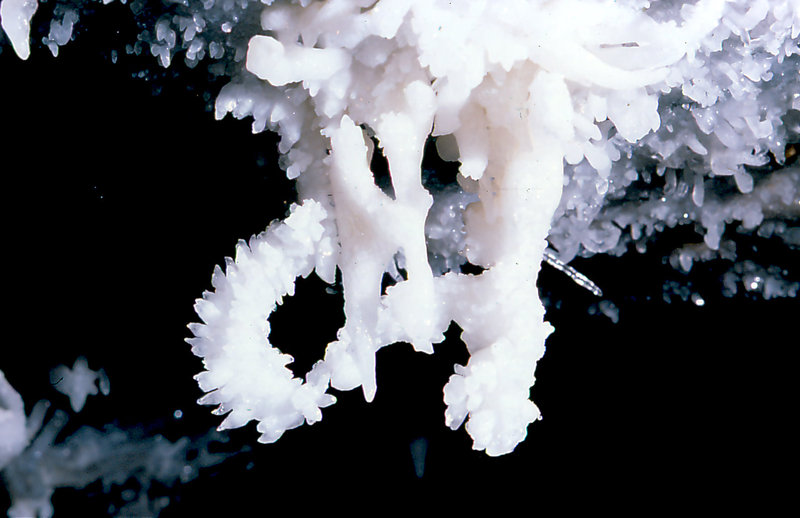 The Canyon Aladdin's overhang Cango 3 Easter 1980 1