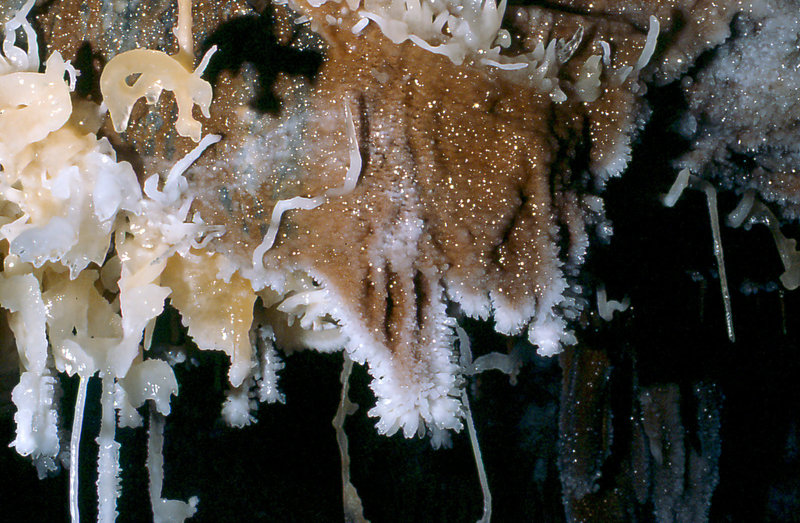 The Canyon Aladin's overhang Cango 3 Easter 1980