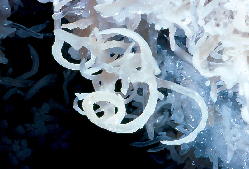 crystals Cango 3 Easter 1980