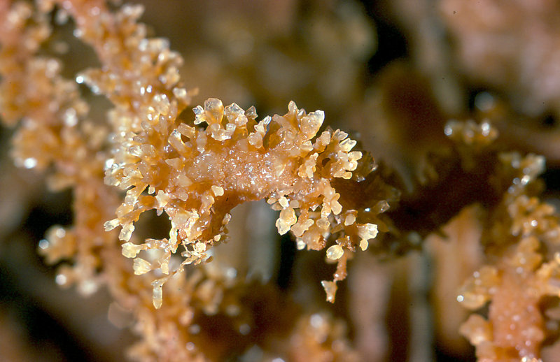 orange crystals Cango 3 Easter 1980