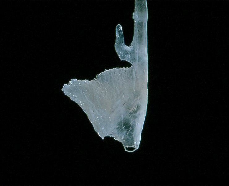 straw Cango 3 Easter 1980 1