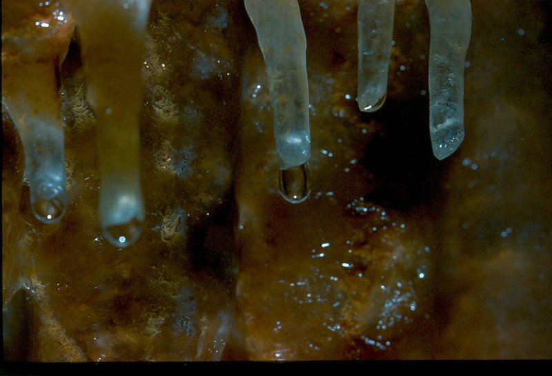 straws Cango 3 Easter 1980