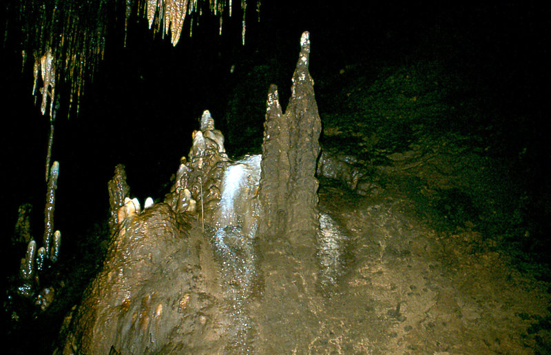 Efflux September 1977 1