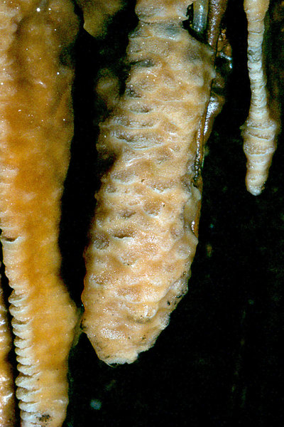 Efflux September 1977 3