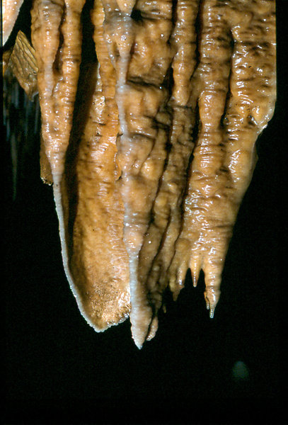 Efflux September 1977 5