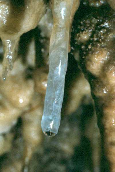 Efflux September 1977 6