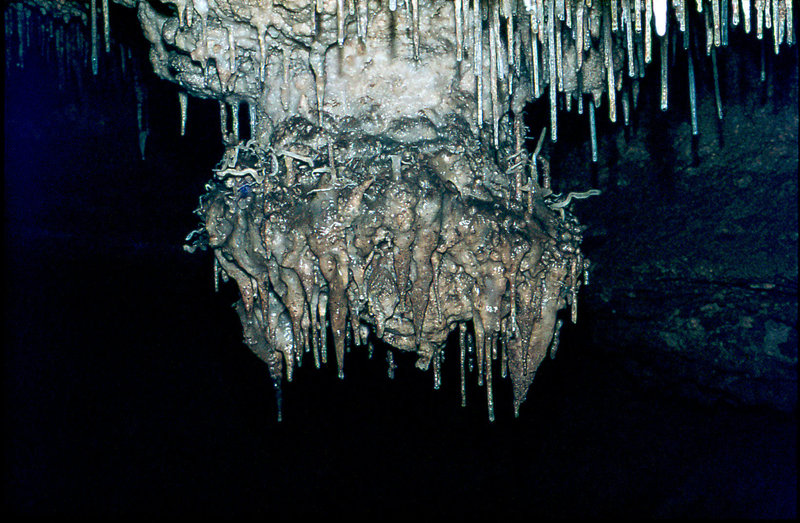 Efflux formation 30th August 1975