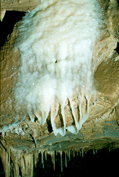 Efflux formations (2) 30th August 1975