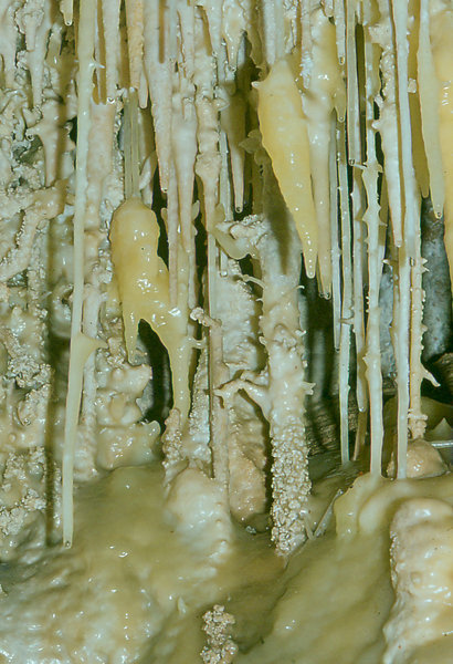 Waenskloof cave April 1977