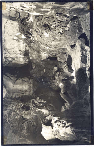 Moore P1 Bat Cavel Boomslang Cave