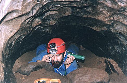 Efflux Peter surveying