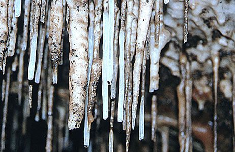 Efflux Straws