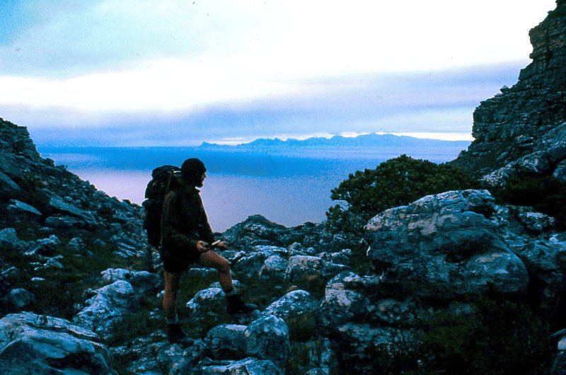 Apple   top of Echo Valley Kalk Bay
